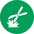 icon7