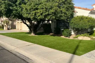 Front yard of house with trees